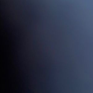 Meet your Posher, Zully